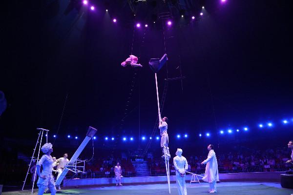 上海野生动物园看马戏就去上海野生动物园