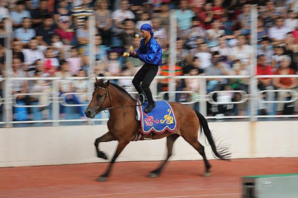 上海野生动物园光看马戏不过瘾还有精彩动物表演带你乐不停
