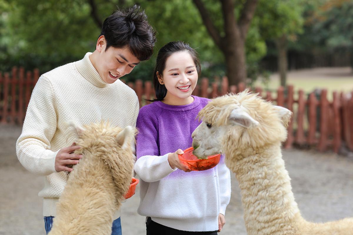 上海野生动物园零距离互动点