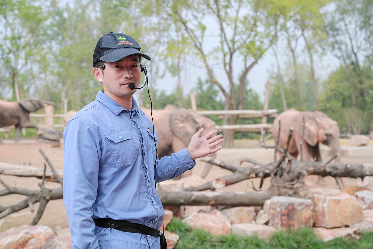 上海野生动物园科普讲解