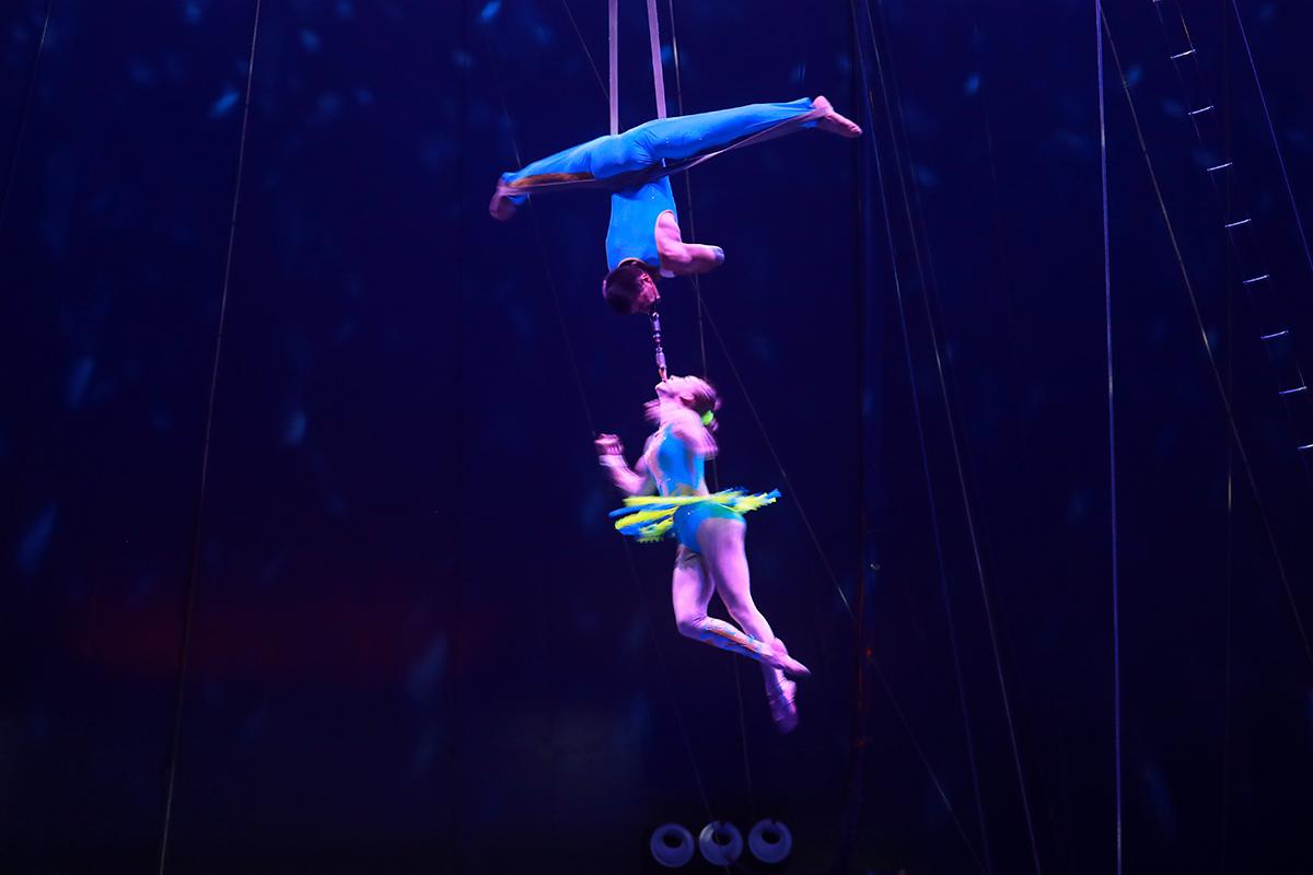 上海野生动物园俄罗斯大马戏