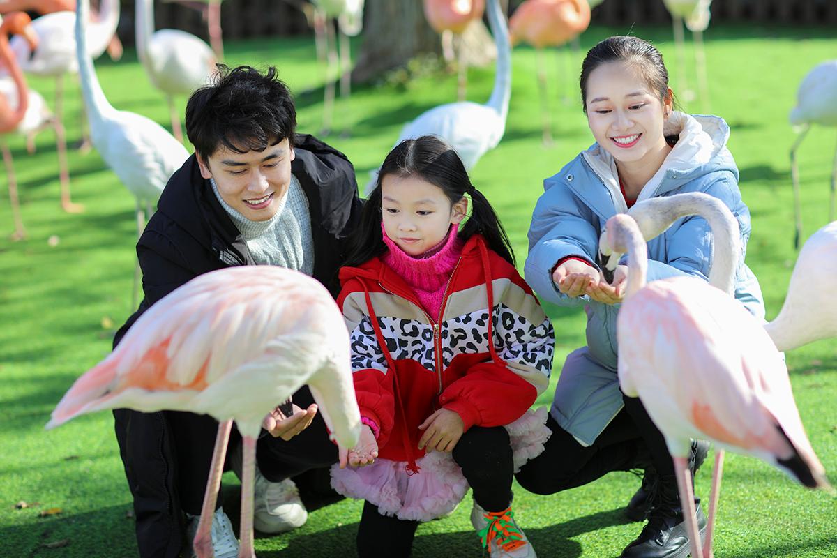 上海野生动物园零距离互动点